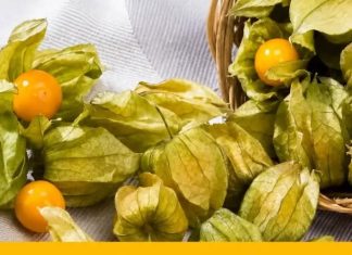 UZIMAJU SE SAMO JEDNOM DNEVNO: Prirodni su lijek protiv prostate, jetre, bolesti debelog crijeva… UZIMAJU SE SAMO JEDNOM DNEVNO: Prirodni su lijek protiv prostate, jetre, bolesti debelog crijeva… - featured image
