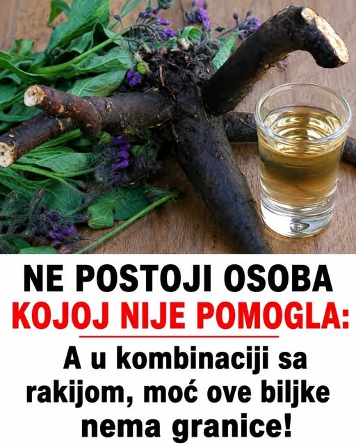NE POSTOJI OSOBA KOJOJ NIJE POMOGLA! A u kombinaciji sa rakijom, moć ove biljke nema granice! - featured image NE POSTOJI OSOBA KOJOJ NIJE POMOGLA! A u kombinaciji sa rakijom, moć ove biljke nema granice! - featured image