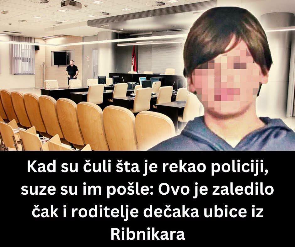 Danas nova odluka u slučaju roditelja maloletnika iz OŠ „Vladislav Ribnikar“: Sud ponovo odlučuje o odgovornosti Vladimira i Miljane Kecmanović - featured image