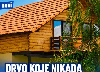 Drvo koje nikada ne treba saditi u dvorištu: Tjera sreću iz kuće i unosi bijedu, nesreću i maler Drvo koje nikada ne treba saditi u dvorištu: Tjera sreću iz kuće i unosi bijedu, nesreću i maler - featured image
