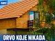 Drvo koje nikada ne treba saditi u dvorištu: Tjera sreću iz kuće i unosi bijedu, nesreću i maler Drvo koje nikada ne treba saditi u dvorištu: Tjera sreću iz kuće i unosi bijedu, nesreću i maler - featured image