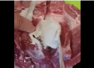 VIDEO Puljanin kupio meso iz kojeg je iscurilo nešto odvratno, pogledajte snimku VIDEO Puljanin kupio meso iz kojeg je iscurilo nešto odvratno, pogledajte snimku - featured image