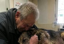 Starac je doveo svog psa da ga uspavaju jer nije mogao platiti liječenje… Ali veterinar je učinio nešto zbog čega su svi u klinici završili u suzama Starac je doveo svog psa da ga uspavaju jer nije mogao platiti liječenje… Ali veterinar je učinio nešto zbog čega su svi u klinici završili u suzama - featured image