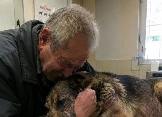 Starac je doveo svog psa da ga uspavaju jer nije mogao platiti liječenje… Ali veterinar je učinio nešto zbog čega su svi u klinici završili u suzama Starac je doveo svog psa da ga uspavaju jer nije mogao platiti liječenje… Ali veterinar je učinio nešto zbog čega su svi u klinici završili u suzama - featured image