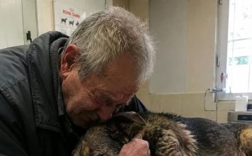 Starac je doveo svog psa da ga uspavaju jer nije mogao platiti liječenje… Ali veterinar je učinio nešto zbog čega su svi u klinici završili u suzama Starac je doveo svog psa da ga uspavaju jer nije mogao platiti liječenje… Ali veterinar je učinio nešto zbog čega su svi u klinici završili u suzama - featured image