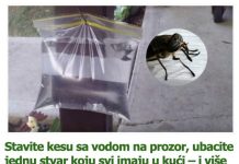 Stavite kesu sa vodom na prozor, ubacite jednu stvar koju svi imaju u kući – i više nikada nećete videti muhu Stavite kesu sa vodom na prozor, ubacite jednu stvar koju svi imaju u kući – i više nikada nećete videti muhu - featured image
