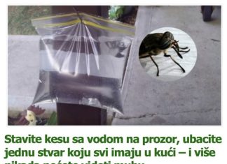 Stavite kesu sa vodom na prozor, ubacite jednu stvar koju svi imaju u kući – i više nikada nećete videti muhu Stavite kesu sa vodom na prozor, ubacite jednu stvar koju svi imaju u kući – i više nikada nećete videti muhu - featured image