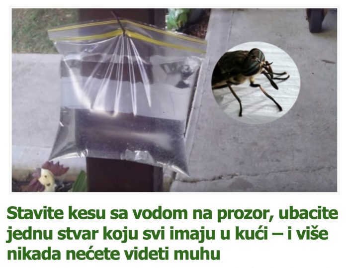 Stavite kesu sa vodom na prozor, ubacite jednu stvar koju svi imaju u kući – i više nikada nećete videti muhu - featured image Stavite kesu sa vodom na prozor, ubacite jednu stvar koju svi imaju u kući – i više nikada nećete videti muhu - featured image