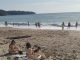 Panika kod Sutomora, JEZIVO MORSKO STVORENJE sledilo kupače!SVI PREDTRAVLJENI POBJEGLI SA PLAŽE GLAVOM BEZ OBZIRA!!! Panika kod Sutomora, JEZIVO MORSKO STVORENJE sledilo kupače!SVI PREDTRAVLJENI POBJEGLI SA PLAŽE GLAVOM BEZ OBZIRA!!! - featured image