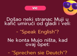 VIC: Mujo i strani jezici VIC: Mujo i strani jezici - featured image