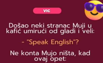 VIC: Mujo i strani jezici VIC: Mujo i strani jezici - featured image