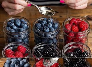 Ne zamrzavam svježe BOROVNICE, KUPINE i MALINE! Držim ih u tegli i Ostaju svježe mjesecima! Ne zamrzavam svježe BOROVNICE, KUPINE i MALINE! Držim ih u tegli i Ostaju svježe mjesecima! - featured image