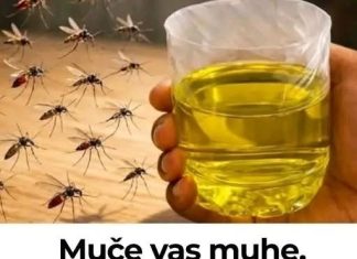 Korisni savjeti kako se riješiti muha i komaraca u kući Korisni savjeti kako se riješiti muha i komaraca u kući - featured image