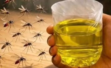 Korisni savjeti kako se riješiti muha i komaraca u kući Korisni savjeti kako se riješiti muha i komaraca u kući - featured image