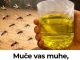 Korisni savjeti kako se riješiti muha i komaraca u kući Korisni savjeti kako se riješiti muha i komaraca u kući - featured image