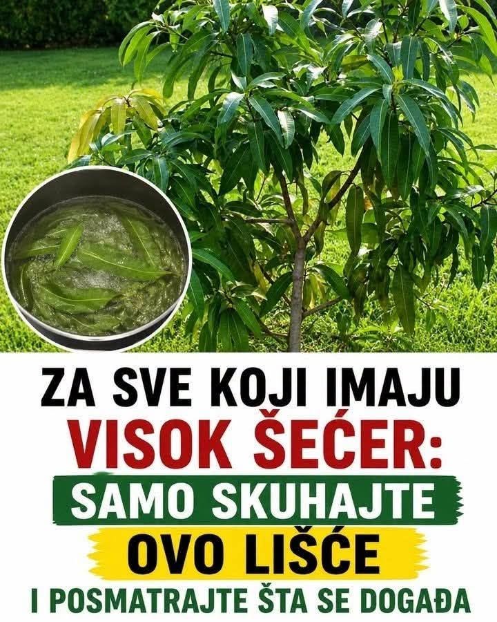 IMATE POVIŠEN ŠEĆER? Pijte čaj od ovog lišća! - featured image