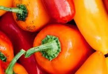 Ne bacajte nikad peteljke od paprika, kad čujete čemu služe čuvaćete ih kao da su od zlata! Ne bacajte nikad peteljke od paprika, kad čujete čemu služe čuvaćete ih kao da su od zlata! - featured image