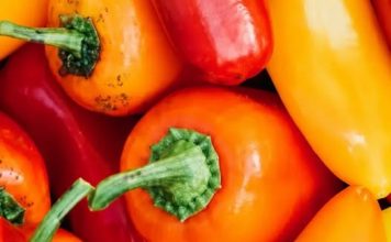 Ne bacajte nikad peteljke od paprika, kad čujete čemu služe čuvaćete ih kao da su od zlata! Ne bacajte nikad peteljke od paprika, kad čujete čemu služe čuvaćete ih kao da su od zlata! - featured image