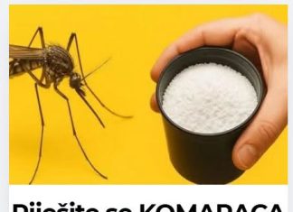 Riješite se KOMARACA zauvijek– bez hemije, samo prirodno! Probajte večeras Riješite se KOMARACA zauvijek– bez hemije, samo prirodno! Probajte večeras - featured image
