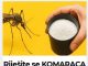 Riješite se KOMARACA zauvijek– bez hemije, samo prirodno! Probajte večeras Riješite se KOMARACA zauvijek– bez hemije, samo prirodno! Probajte večeras - featured image