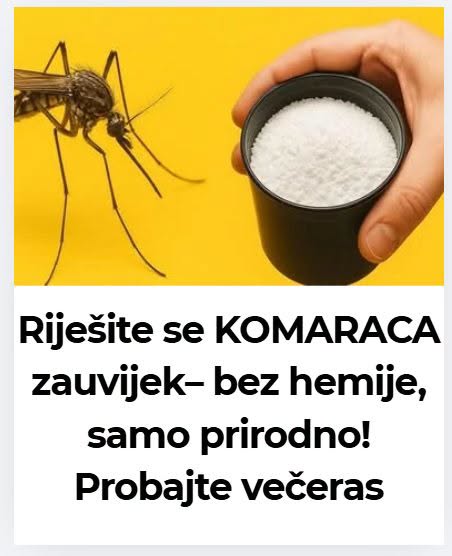 Riješite se KOMARACA zauvijek– bez hemije, samo prirodno! Probajte večeras - featured image