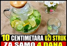 10 centimetara uži struk za samo 4 dana! Potreban je samo limun i krastavac..(RECEPT) 10 centimetara uži struk za samo 4 dana! Potreban je samo limun i krastavac..(RECEPT) - featured image