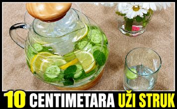 10 centimetara uži struk za samo 4 dana! Potreban je samo limun i krastavac..(RECEPT) 10 centimetara uži struk za samo 4 dana! Potreban je samo limun i krastavac..(RECEPT) - featured image
