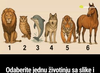 Odaberite jednu životinju sa slike i otkrijte šta drugi misle kad se spomene vaše ime Odaberite jednu životinju sa slike i otkrijte šta drugi misle kad se spomene vaše ime - featured image