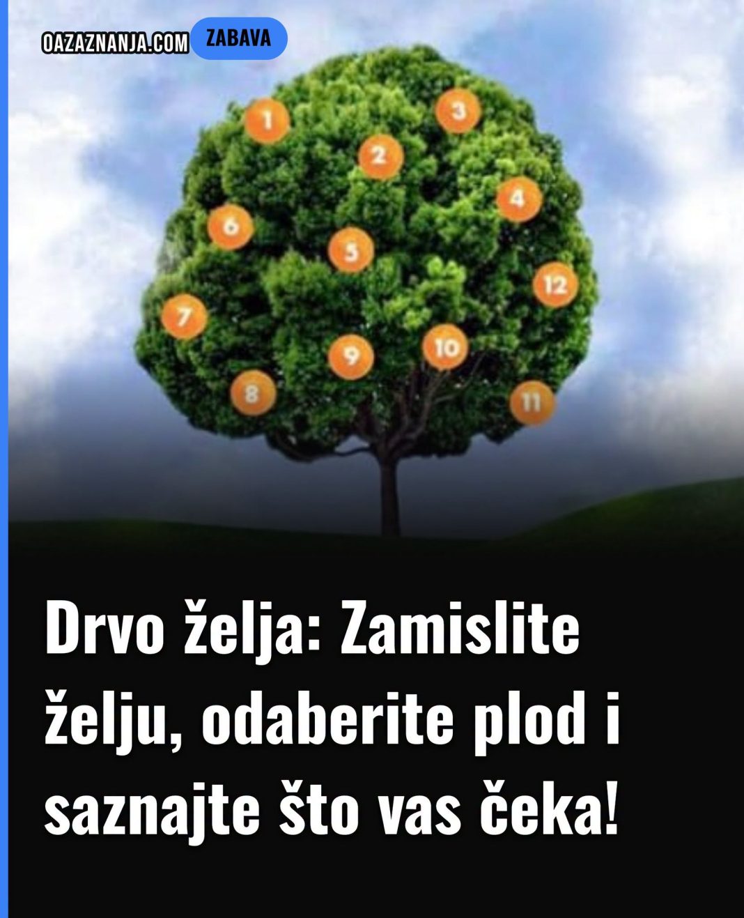 Drvo želja: Zamislite želju, odaberite plod i saznajte što vas čeka! - featured image Drvo želja: Zamislite želju, odaberite plod i saznajte što vas čeka! - featured image