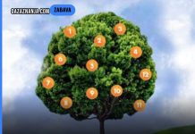 Drvo želja: Zamislite želju, odaberite plod i saznajte što vas čeka! Drvo želja: Zamislite želju, odaberite plod i saznajte što vas čeka! - featured image