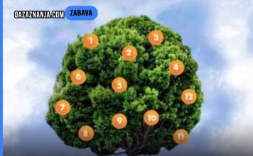 Drvo želja: Zamislite želju, odaberite plod i saznajte što vas čeka! Drvo želja: Zamislite želju, odaberite plod i saznajte što vas čeka! - featured image