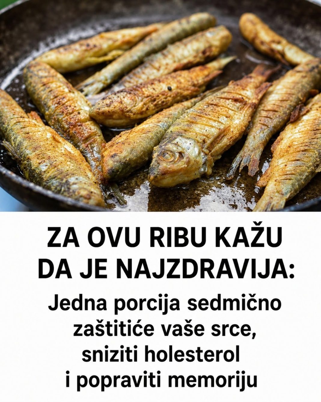 ZA OVU RIBU KAŽU DA JE NAJZDRAVIJA: Jedna porcija sedmično zaštitiće vaše srce, sniziti holesterol i popraviti memoriju - featured image ZA OVU RIBU KAŽU DA JE NAJZDRAVIJA: Jedna porcija sedmično zaštitiće vaše srce, sniziti holesterol i popraviti memoriju - featured image