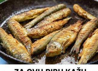 ZA OVU RIBU KAŽU DA JE NAJZDRAVIJA: Jedna porcija sedmično zaštitiće vaše srce, sniziti holesterol i popraviti memoriju ZA OVU RIBU KAŽU DA JE NAJZDRAVIJA: Jedna porcija sedmično zaštitiće vaše srce, sniziti holesterol i popraviti memoriju - featured image