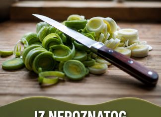 IZ NEPOZNATOG RAZLOGA JE IZBJEGAVAMO, A BILJKA LIJEČI 6 OPAKIH BOLESTI: Jest ćete ga kao ludi nakon ovoga! IZ NEPOZNATOG RAZLOGA JE IZBJEGAVAMO, A BILJKA LIJEČI 6 OPAKIH BOLESTI: Jest ćete ga kao ludi nakon ovoga! - featured image