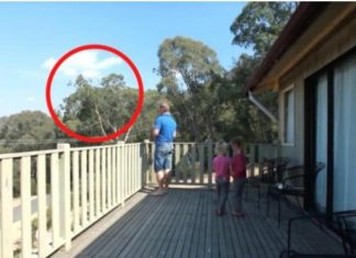 OTAC ILIJA UHVAĆEN SA ĆERKAMA NA BALKONU, MAJKA ODMAH IZLETJELA: Vrištali su dok su to radili (VIDEO) OTAC ILIJA UHVAĆEN SA ĆERKAMA NA BALKONU, MAJKA ODMAH IZLETJELA: Vrištali su dok su to radili (VIDEO) - featured image