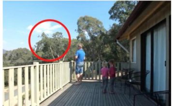 OTAC ILIJA UHVAĆEN SA ĆERKAMA NA BALKONU, MAJKA ODMAH IZLETJELA: Vrištali su dok su to radili (VIDEO) OTAC ILIJA UHVAĆEN SA ĆERKAMA NA BALKONU, MAJKA ODMAH IZLETJELA: Vrištali su dok su to radili (VIDEO) - featured image