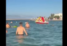 “Marš ti iz mora!” Snimak sa Hrvatske plaže izazvao lavinu komentara: Turisti iznervirani onim što su vidjeli u vodi pa ovo nije normalnoo (VIDEO) “Marš ti iz mora!” Snimak sa Hrvatske plaže izazvao lavinu komentara: Turisti iznervirani onim što su vidjeli u vodi pa ovo nije normalnoo (VIDEO) - featured image