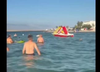 “Marš ti iz mora!” Snimak sa Hrvatske plaže izazvao lavinu komentara: Turisti iznervirani onim što su vidjeli u vodi pa ovo nije normalnoo (VIDEO) “Marš ti iz mora!” Snimak sa Hrvatske plaže izazvao lavinu komentara: Turisti iznervirani onim što su vidjeli u vodi pa ovo nije normalnoo (VIDEO) - featured image
