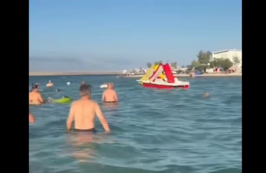 “Marš ti iz mora!” Snimak sa Hrvatske plaže izazvao lavinu komentara: Turisti iznervirani onim što su vidjeli u vodi pa ovo nije normalnoo (VIDEO) - featured image “Marš ti iz mora!” Snimak sa Hrvatske plaže izazvao lavinu komentara: Turisti iznervirani onim što su vidjeli u vodi pa ovo nije normalnoo (VIDEO) - featured image
