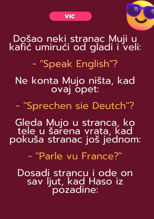 VIC DANA: Mujo i strani jezici - featured image