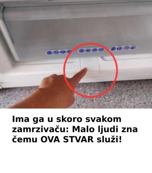 Ima ga u skoro svakom zamrzivaču: Malo ljudi zna čemu OVA STVAR služi! - featured image Ima ga u skoro svakom zamrzivaču: Malo ljudi zna čemu OVA STVAR služi! - featured image