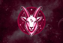 The 3 Zodiac Signs That Dream About Being With Capricorn Capricorn zodiac sign and three zodiac signs dreaming about being with them
