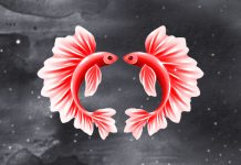 Pisces: An Unfinished Love Story With One of These 3 Zodiac Signs May Return
