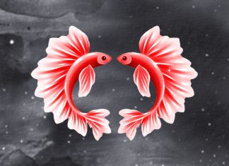 Pisces: An Unfinished Love Story With One of These 3 Zodiac Signs May Return