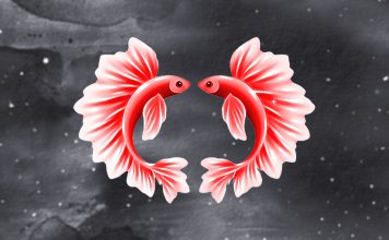Pisces: An Unfinished Love Story With One of These 3 Zodiac Signs May Return