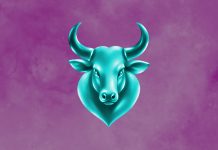 Taurus Needs a Special Kind of Love — Only 3 Zodiac Signs Can Give It