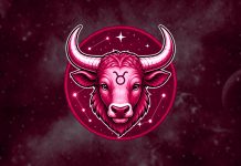 The 3 Zodiac Signs That Dream About Being With Taurus Taurus zodiac sign and three zodiac signs dreaming about being with them
