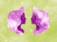 GEMINI: HAPPINESS ARRIVES WHEN YOU LEAST EXPECT IT – You’ll Be Overjoyed Like a Child, and the Reason Will Completely Surprise You!