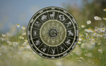 THE ATTRACTION WILL BE UNDENIABLE: These Zodiac Signs Are About to Fall Hard Golden zodiac wheel with astrological symbols surrounded by soft wildflowers and warm natural light