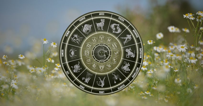 Golden zodiac wheel with astrological symbols surrounded by soft wildflowers and warm natural light